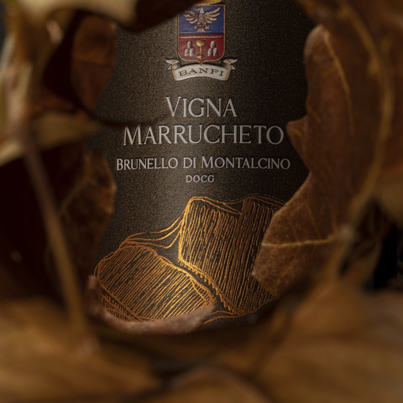 Vigna Marrucheto - Banfi